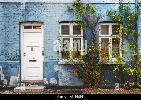 Septembre, 23th, 2015 centre-ville - rue de l'automne, à Copenhague, au Danemark. Mur de la maison bleue, blanche porte et fenêtres près de red blossom flowers et tombé Banque D'Images