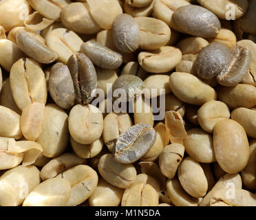 Le séchage des grains de café dans le soleil Banque D'Images