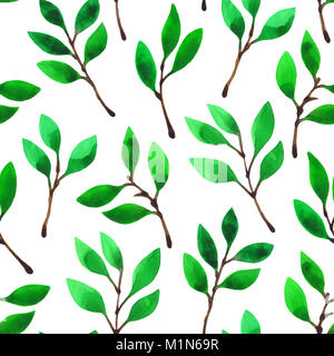 Les feuilles et les branches vert isolé sur fond blanc. Motif transparent peint à la main. Fond d'aquarelle. Banque D'Images