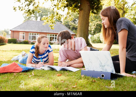 Étudiants adolescents assis à l'extérieur et de travail sur projet Banque D'Images
