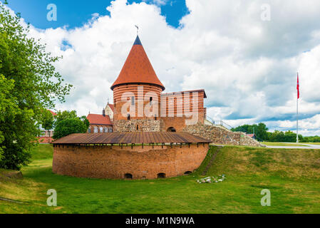 Château de Kaunas vue grand angle Banque D'Images