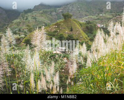 Paysage de montagnes et de la végétation et des habitations de la vallée de Paul. La canne à sucre, le café cultivé et manguier croissant le long valley. L'île de Santo Antao, Cap Vert Banque D'Images