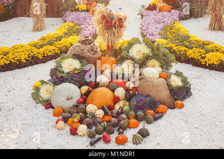 L'automne magnifique composition de fleurs et de légumes. Banque D'Images