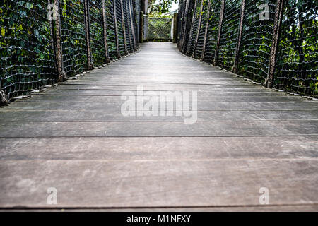 Passerelle en bois, pont de bois à travers la forêt Banque D'Images