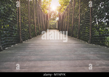 Passerelle en bois, pont de bois à travers la forêt Banque D'Images