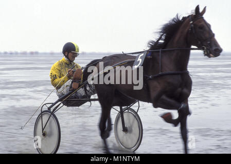 DEU, ALLEMAGNE, Basse-Saxe, la course de trot à l'amplitude des marées dans les eaux peu profondes près de Cuxhaven Duhnen. DEU, Deutschland, Niedersachsen, das Crea-trends Wattrennen b Banque D'Images