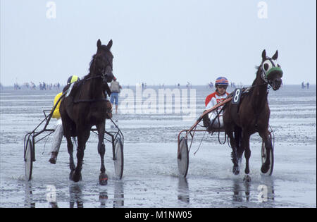 DEU, ALLEMAGNE, Basse-Saxe, la course de trot à l'amplitude des marées dans les eaux peu profondes près de Cuxhaven Duhnen. DEU, Deutschland, Niedersachsen, das Crea-trends Wattrennen b Banque D'Images