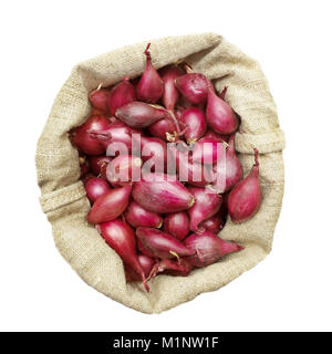 Petits oignons destinés à la plantation dans un sac de linge, vue d'en haut Banque D'Images