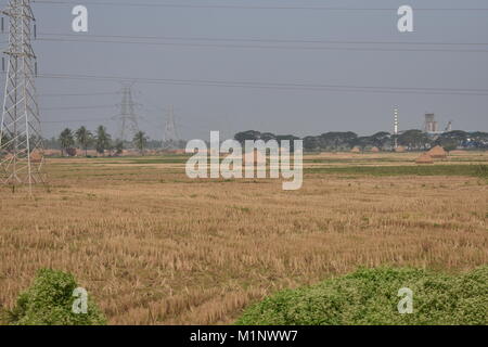 Grille d'alimentation transmission, au-dessus de la riziculture champ près d'une petite usine. Banque D'Images