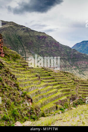 Terrasses Inca, la Vallée Sacrée, Pisac, région de Cuzco, Pérou, Amérique du Sud Banque D'Images