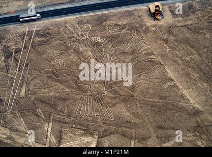 L'arbre Géoglyphe, vue aérienne, Nazca, UNESCO World Heritage Site, Région de l'Ica, Pérou, Amérique du Sud Banque D'Images