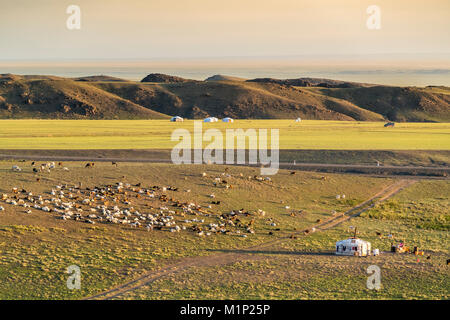 L'élevage et camp nomade, Bayandalai district, province sud de Gobi, la Mongolie, l'Asie centrale, d'Asie Banque D'Images