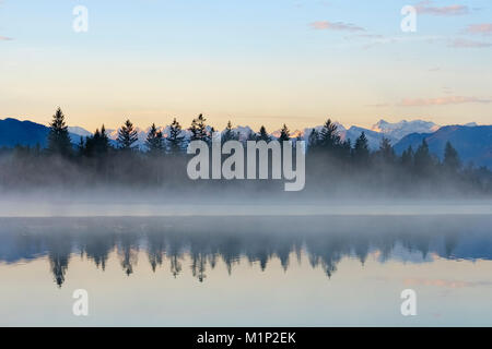 Matin tôt le matin avec l'atmosphère de brume à Kirchsee, près de Sachsenkam,avec panorama alpin de Karwendel, Haute-Bavière Banque D'Images