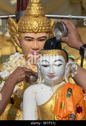 Rituel de verser de l'eau plus de statue de Bouddha,de la pagode Shwedagon à Yangon, Myanmar, Rangoon, Birmanie, Banque D'Images
