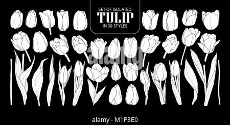 Ensemble de silhouette blanche isolée Tulip dans 30 styles. Cute vector illustration fleur dessiné à la main en avion blanc et sans contour sur fond noir. Illustration de Vecteur