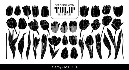 Ensemble de silhouette isolés dans 30 Tulipes de styles. Cute vector illustration fleurs dessinés à la main, en noir et blanc indiquant plan sur fond noir. Illustration de Vecteur