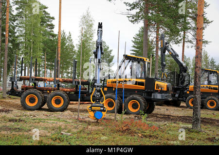 JAMSA, FINLANDE - le 29 août 2014 : professionnel non identifié prend part à l'opérateur de machine forestière nationale, tenue à la concurrence FinnMETKO 2014. Banque D'Images