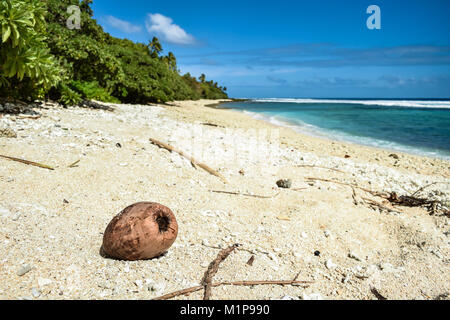 Noix de coco sur une plage tropicale de sable blanc avec ciel bleu Banque D'Images