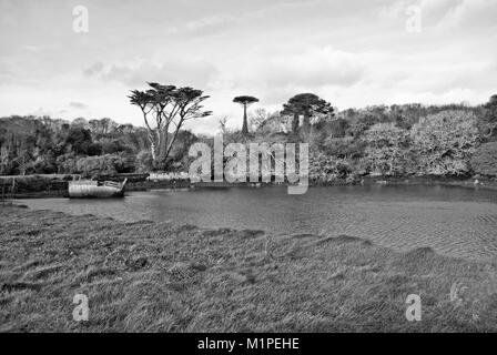 Un bateau cassé se trouve dans Pulleen Harbour, West Cork, Irlande, pour les décors du film film Ondine. Banque D'Images