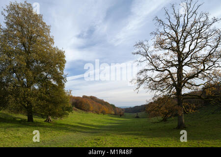 Six puits bas et le quartier historique de St Peter's au milieu de la pompe à distance à l'automne, près de Stourhead Wiltshire et Somerset sur la frontière, l'Angleterre. Banque D'Images