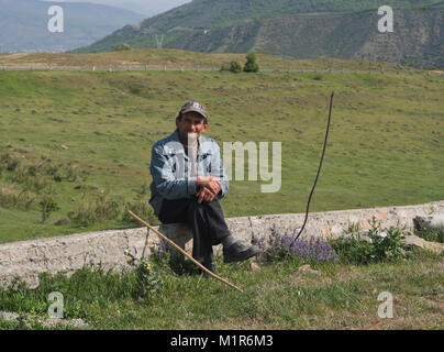 Bouvier se reposant près du monastère de Jvari, Mtskheta (Géorgie), l'agriculture traditionnelle, campagne idyllique au pied des montagnes du Caucase Banque D'Images