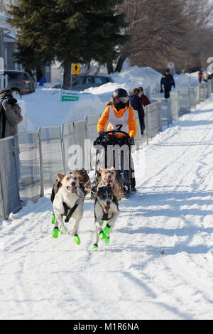 L'Epiphanie, Canada 1/28/2018 . Un musher et son équipe de chiens de race dans la course internationale de traîneaux de Lanaudière, Banque D'Images