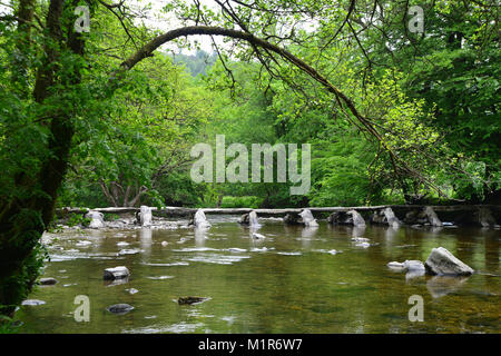 Étapes Tarr, traversant la rivière Barle, Exmoor, Parc National d'Exmoor, Somerset, Angleterre, la beauté naturelle, campagne, Banque D'Images