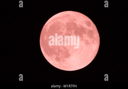 Maidstone dans le Kent. 1er février, 2018. Vue d'un des rares "Super Blue Blood Moon" observés à Maidstone dans le Kent, UK. 1er février, 2018. Credit : glamourstock/Alamy Live News Banque D'Images