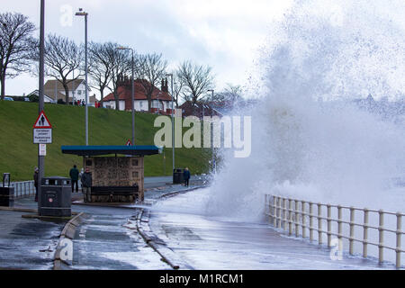 Colwyn Bay, comté de Conwy, Pays de Galles, Royaume-Uni 1er février 2018, UK Weather : avec la marée haute par temps froid et venteux ont fourni des conditions idéales pour les ressources naturelles du pays de Galles à fournir des avertissements d'inondations pour la Côte Nord du Pays de Galles dont Colwyn Bay. Une personne qui marche le long de la promenade de Colwyn Bay comme d'énormes vagues batter la station balnéaire avec des avertissements d'inondation en place, comté de Conwy, au Pays de Galles Banque D'Images