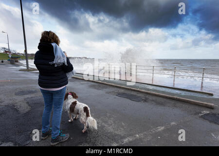 Colwyn Bay, comté de Conwy, Pays de Galles, Royaume-Uni 1er février 2018, UK Weather : avec la marée haute par temps froid et venteux ont fourni des conditions idéales pour les ressources naturelles du pays de Galles à fournir des avertissements d'inondations pour la Côte Nord du Pays de Galles dont Colwyn Bay. Une femme avec son King Charles Spaniel prendre des photos des vagues s'écrasant sur la promenade de la Baie d'Cowly DGDImages, Nord du Pays de Galles ©/Alamy Live News Banque D'Images