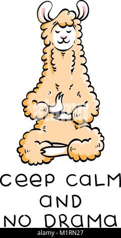 Cute furry méditer lama. Vector cartoon illustration sur un fond blanc avec des lettres de motivation. Le CEEP calme et pas de drame. Illustration de Vecteur