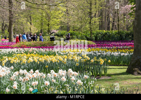 Les visiteurs apprécient les corps de plantations de bulbes de printemps dans les jardins de Keukenhof Banque D'Images