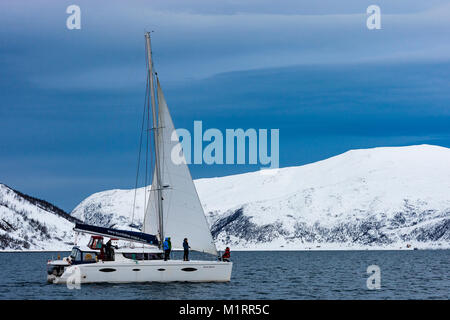 La Norvège. Le catamaran dans le calme fjord norvégien. Banque D'Images