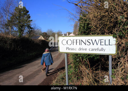 La Marche des femmes un chihuahua chien dans le village Coffinswell Devon par un beau matin de février. Banque D'Images