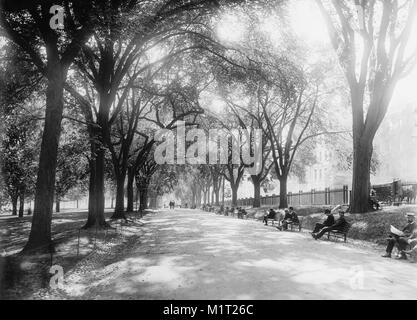 Centre Commercial Beacon Street, Boston, Massachusetts, USA, Detroit Publishing Company, 1899 Banque D'Images