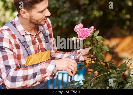 Sécateur jardinier fleur d'élagage Banque D'Images