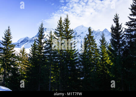 Magnifique paysage de montagne enneigée vue avec un pin de pins dans la région de Bellvue Saint-Gervais-les-Bains. Montagne Alpes près de Mont Blanc. Banque D'Images