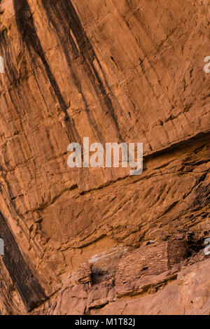 Détail des bâtiments à grande ruine, un village Pueblo ancestrales au sein du site Salt Creek Canyon dans les aiguilles District de Canyonlands National Park, Utah, Banque D'Images