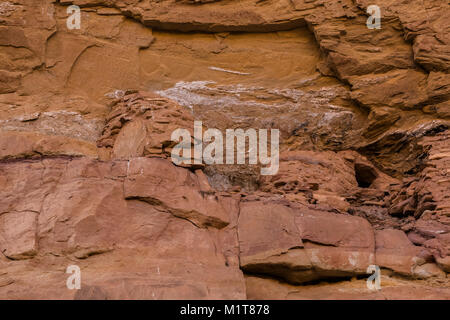 Détail des bâtiments à grande ruine, un village Pueblo ancestrales au sein du site Salt Creek Canyon dans les aiguilles District de Canyonlands National Park, Utah, Banque D'Images