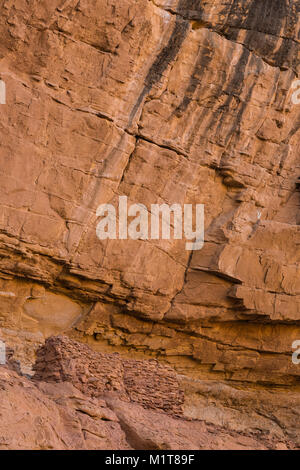 Détail des bâtiments à grande ruine, un village Pueblo ancestrales au sein du site Salt Creek Canyon dans les aiguilles District de Canyonlands National Park, Utah, Banque D'Images