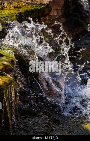 Salt Creek, un cours d'eau permanent qui est chargé avec les sédiments et bordée d'algues, mais est potable, dans la région de Salt Creek Canyon dans l'Etui Aiguill Banque D'Images