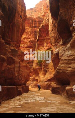 Promenade à travers le canyon de pierre rouge Siq en Jordanie. Sur le chemin de Petra Château Banque D'Images