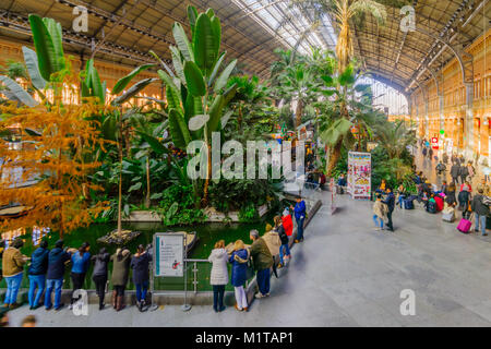 MADRID, ESPAGNE - 1 janvier 2018 : vue sur la plaza et le jardin de l'ancienne gare d'Atocha, avec les habitants et visiteurs, à Madrid, Espagne Banque D'Images