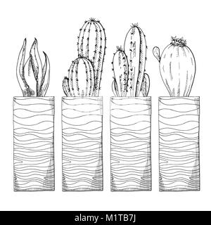 Croquis de plantes grasses dans des pots. Vector illustration d'un croquis de style. Illustration de Vecteur