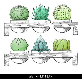 Croquis de succulentes en pot sur un support en bois. Aquarelle stylisée. Vector illustration. Illustration de Vecteur