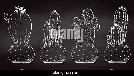 Croquis de succulentes en pot isolé sur le tableau. Vector illustration. Illustration de Vecteur