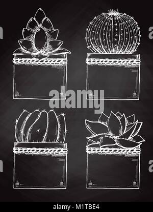 Croquis de succulentes en pot isolé sur le tableau. Vector illustration. Illustration de Vecteur
