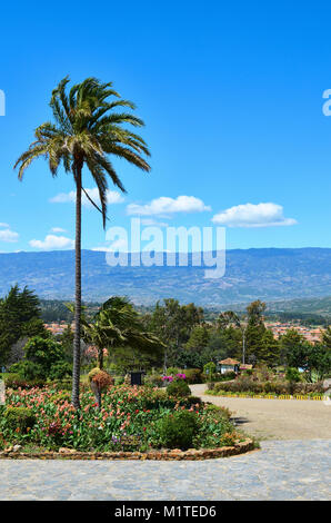 BOYACA, COLOMBIE - le 23 janvier 2014 : Quelques plantes et végétation à Villa de Leyva. Banque D'Images