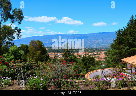 BOYACA, COLOMBIE - le 23 janvier 2014 : Quelques plantes et végétation à Villa de Leyva. Banque D'Images