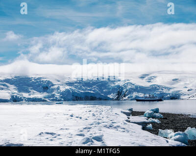 Navire de passagers aventurier océan transporte les skieurs alpinisme à l'Antarctique ; Admiralty Bay ; l'île du Roi George Banque D'Images